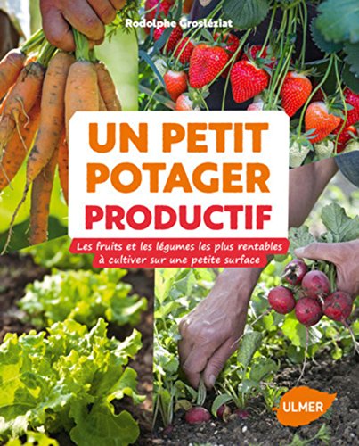 Stock image for Un petit potager productif : Les fruits et les lgumes les plus rentables  cultiver sur une petite surface for sale by Revaluation Books