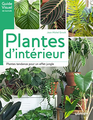 Stock image for Plantes d'int rieur: Plantes tendance pour un effet jungle for sale by WorldofBooks