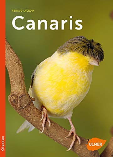 Stock image for Canaris for sale by medimops