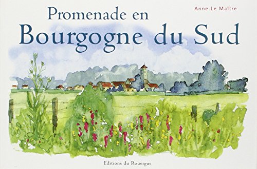 9782841567454: Promenade en Bourgogne du Sud