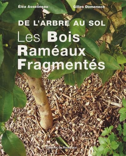 9782841568994: Les Bois Ramaux Fragments: De l'arbre au sol