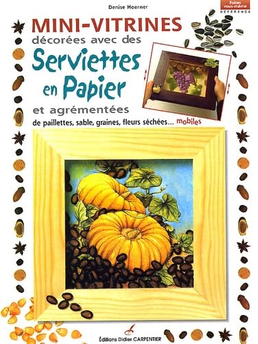 Stock image for Mini-vitrines dcores avec des serviettes en papier for sale by Librairie Th  la page