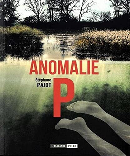 Anomalie P - Stéphane Pajot