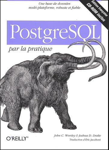 9782841772117: Postgresql Par La Pratique. Avec Cd-Rom