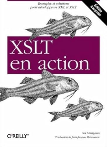 9782841772407: XSLT en action