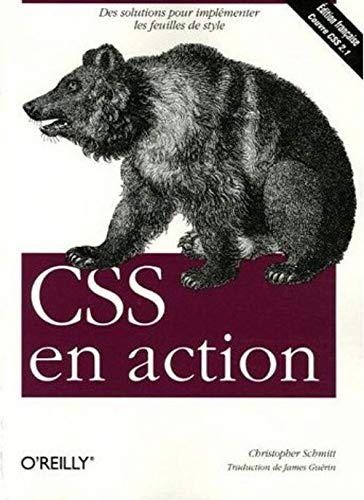 Imagen de archivo de CSS en action a la venta por Ammareal