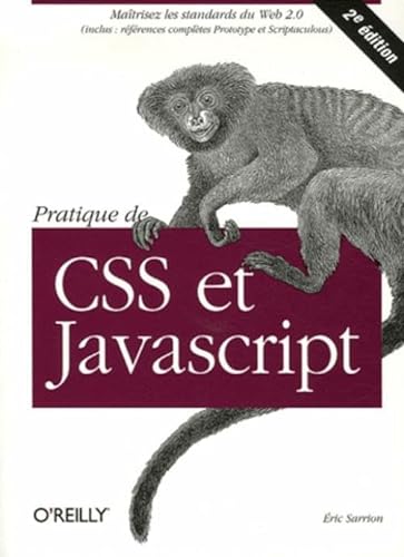Beispielbild fr Pratique De Css Et De Javascript zum Verkauf von RECYCLIVRE