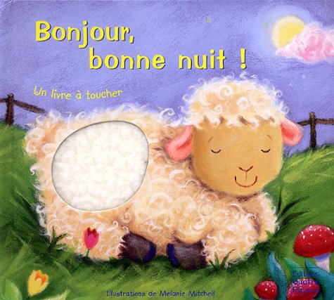 Stock image for Bonjour, bonne nuit ! for sale by medimops