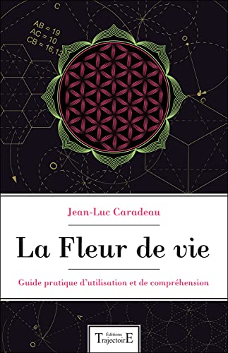 Imagen de archivo de La Fleur de vie - Guide pratique d'utilisation et de comprhension [Broch] Caradeau, Jean-Luc a la venta por BIBLIO-NET