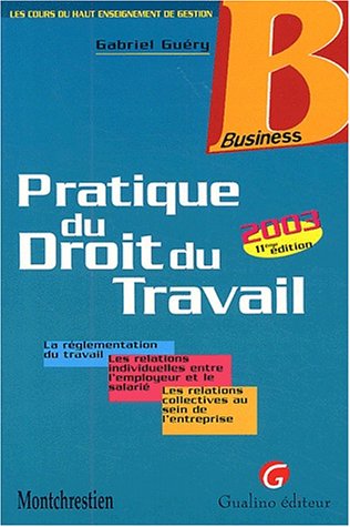 9782842006464: Pratique Du Droit Du Travail. Edition 2003