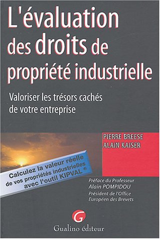Stock image for L'valuation des droits de proprit industielle : Valoriser les trsors de votre entreprise for sale by Ammareal