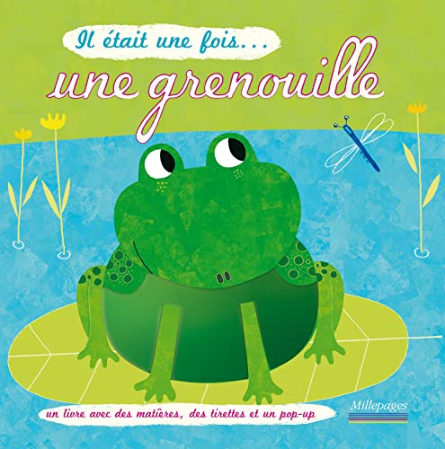 Beispielbild fr Il tait une fois. une grenouille zum Verkauf von Ammareal