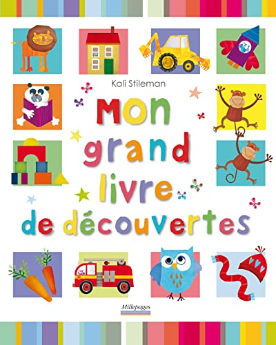 Stock image for Mon grand livre de dcouvertes for sale by medimops