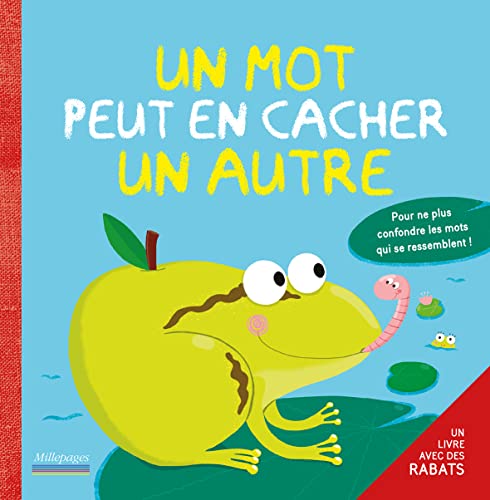 9782842183493: Un mot peut en cacher un autre: pour ne plus confondre les mots qui se ressemblent !