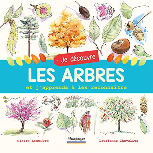 Imagen de archivo de Je dcouvre les arbres et j'apprends  les reconnatre a la venta por medimops