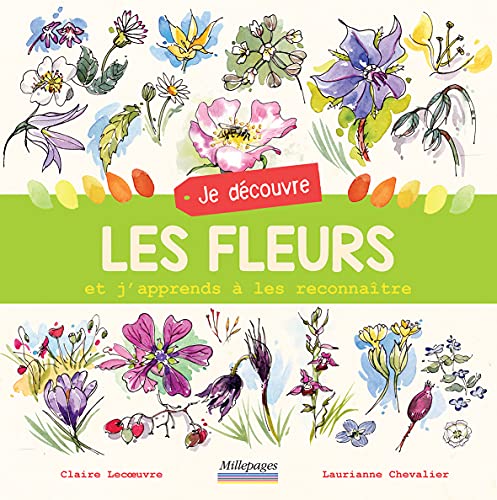 Imagen de archivo de Je dcouvre les fleurs: Et j'apprends  les reconnatre [Reli] Lecoeuvre, Claire et Chevalier Laurianne a la venta por BIBLIO-NET