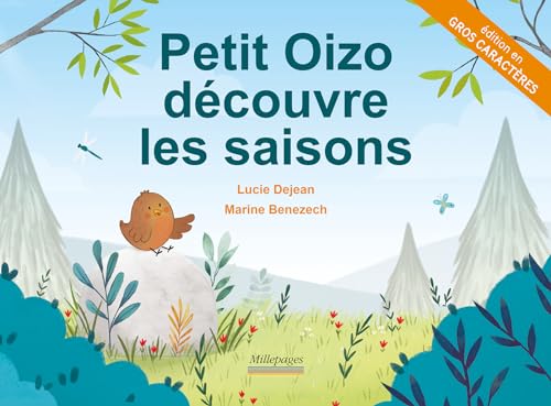 Stock image for Petit Oizo decouvre les saisons for sale by LiLi - La Libert des Livres