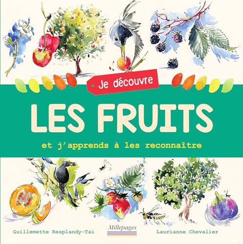 Beispielbild fr Je dcouvre les fruits: Et j'apprends  les reconnatre Chevallier, Laurianne et Resplandy-Tai, Guillemette zum Verkauf von BIBLIO-NET