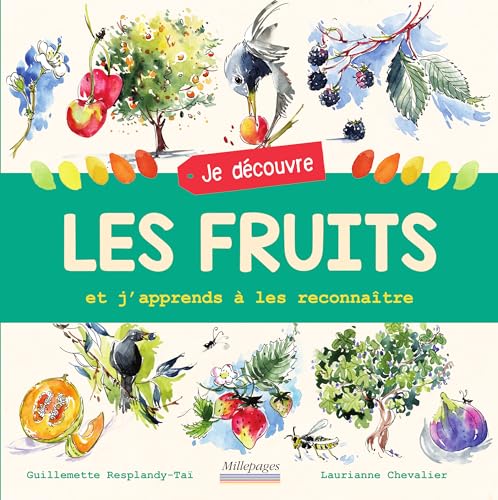 Stock image for Je dcouvre les fruits: Et j'apprends  les reconnatre Chevallier, Laurianne et Resplandy-Tai, Guillemette for sale by BIBLIO-NET