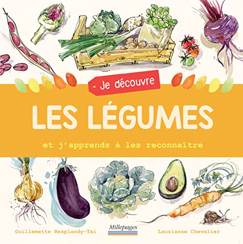 Stock image for Je dcouvre les lgumes: Et j'apprends  les reconnatre for sale by Librairie Th  la page