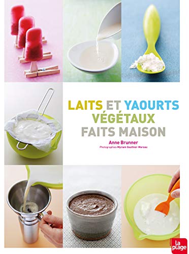 Stock image for Laits et yaourts vgtaux faits maison for sale by medimops