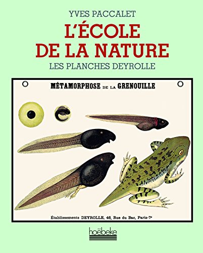 9782842302184: L'Ecole de la nature: Les planches Deyrolle