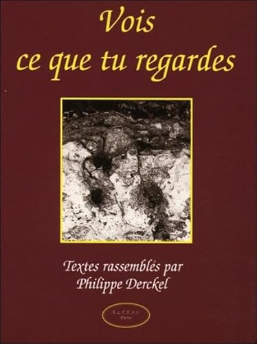 9782842430115: Vois Ce Que Tu Regardes (French Edition)