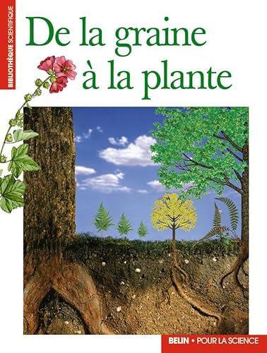 Beispielbild fr De la graine  la plante zum Verkauf von Ammareal