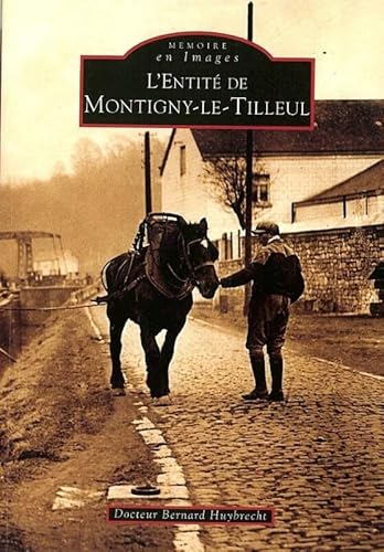 Imagen de archivo de L' Entite De Montigny-le-tilleul a la venta por RECYCLIVRE