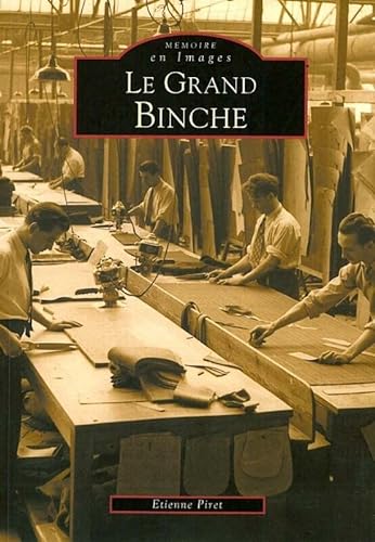 Imagen de archivo de Les Grand Binche: memoire en images a la venta por Pearlydewdrops