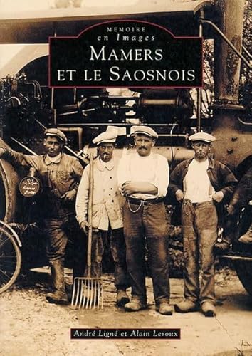 Beispielbild fr Mamers et le Saosnois (French Edition) zum Verkauf von Gallix