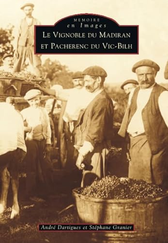 Stock image for Vignoble du Madiran et Pacherenc du Vic-Bilh (French Edition) for sale by Gallix