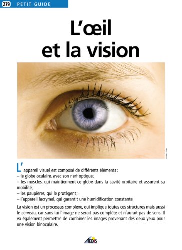 9782842594114: L'oeil et la vision: 1