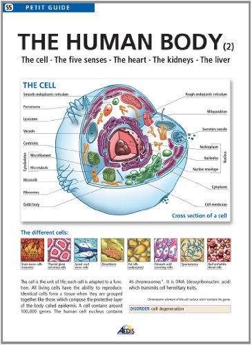 9782842594466: PGGB055 - The human body (2)