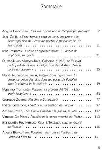 Beispielbild fr Pier Paolo Pasolini - Pour une anthropologie potique (French Edition) zum Verkauf von Gallix
