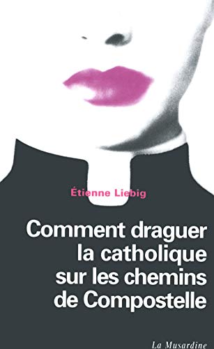 Beispielbild fr Comment draguer la catholique sur les chemins de Compostelle zum Verkauf von medimops