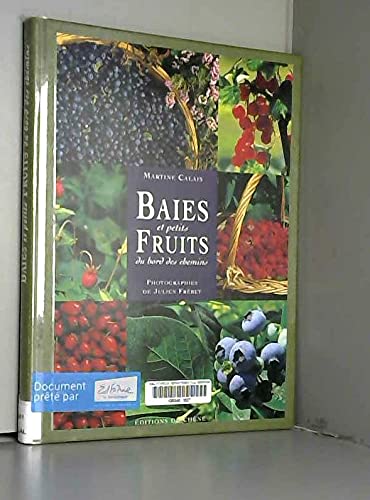 Beispielbild fr Baies et petits fruits du bord des chemins zum Verkauf von Ammareal