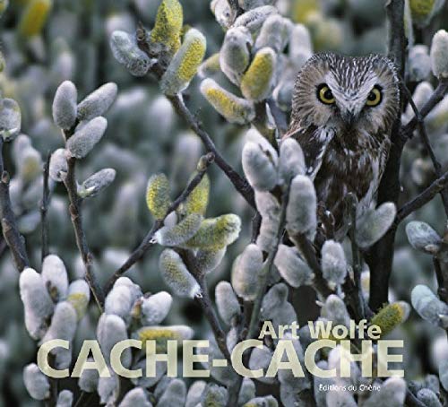 Stock image for Cache-cache for sale by Ammareal
