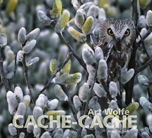 9782842776275: Cache-cache