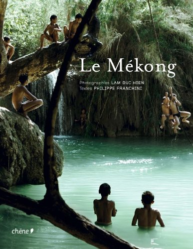 Imagen de archivo de Le Mkong (Ancien prix diteur : 39,90 euros) a la venta por Ammareal