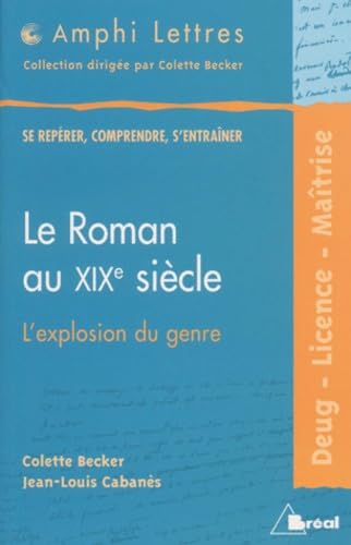 Beispielbild fr Le roman au xixe siecle zum Verkauf von Ammareal