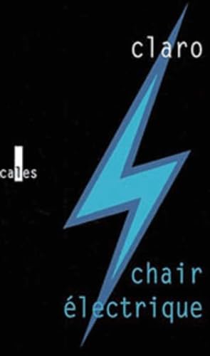 Chair Ã©lectrique (Verticales) (French Edition) (9782843351501) by Claro, Christophe