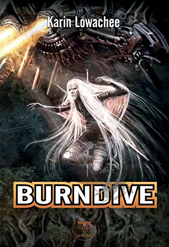 Stock image for Burndive for sale by medimops