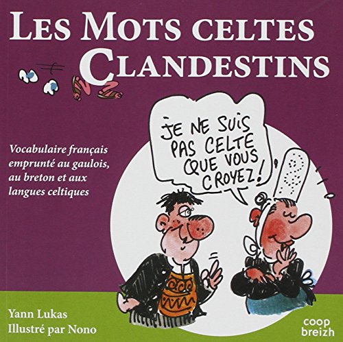 Beispielbild fr Les Mots Celtes Clandestins zum Verkauf von medimops