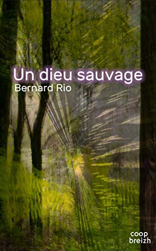 Stock image for Un dieu sauvage for sale by Ammareal