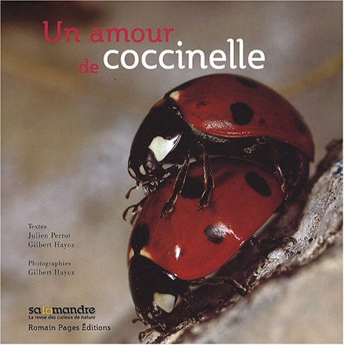 Beispielbild fr Un amour de coccinelle zum Verkauf von medimops