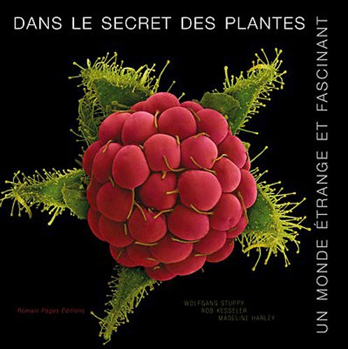Stock image for Dans le secret des plantes : Un monde trange et fascinant for sale by Ammareal