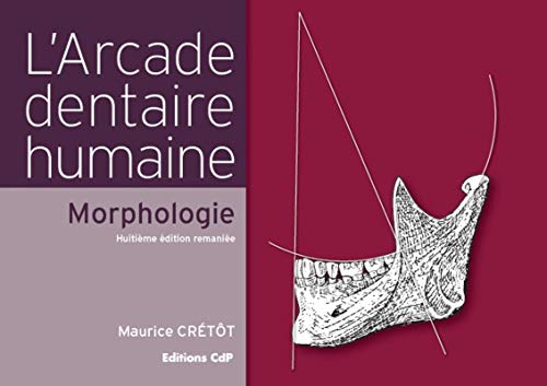 Imagen de archivo de L'Arcade dentaire humaine : Morphologie a la venta por medimops