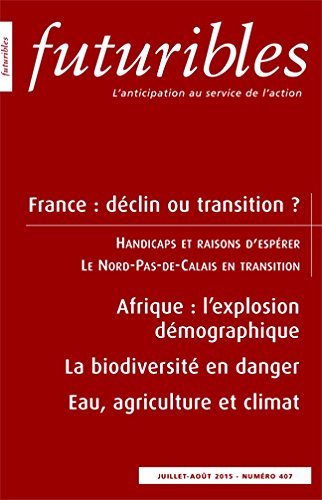 Beispielbild fr FRANCE : DECLIN OU TRANSITION ? zum Verkauf von LiLi - La Libert des Livres