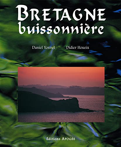 Stock image for Bretagne buissonnire for sale by medimops